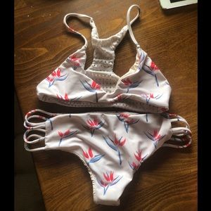 Acacia Bird of paradise set!